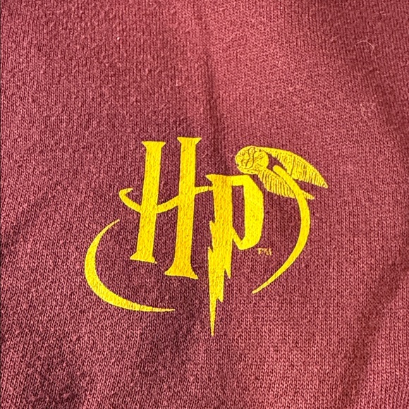 Harry Potter Hogwarts Gryffindor Pullover Hoodie Maroon Gray Sleeves Men's Sz L - Picture 7 of 12
